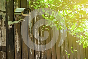 Security CCTV camera with leaves