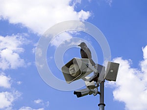 Security CCTV camera and loudspeaker on the pole.