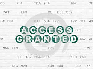 Security concept: Access Granted on wall background