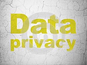 Security concept: Data Privacy on wall background