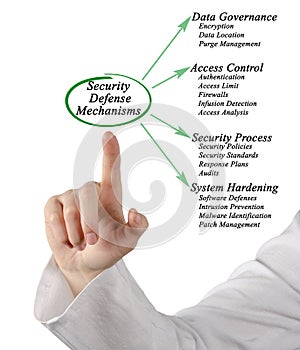 Security Defense Mechanisms