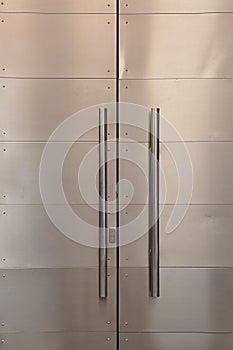 Security door