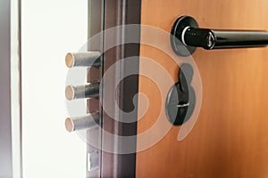 Security door with theft protection