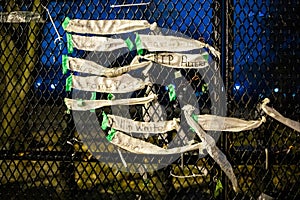 Security fence surrounds White house building after Capitol Hill riots with list of victums on the wall