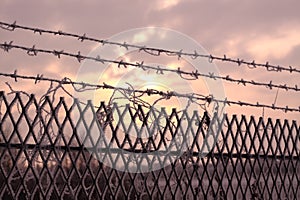 Security fence in winter