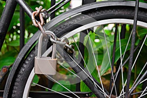 Security lock and chain blocking the bicycle wheel