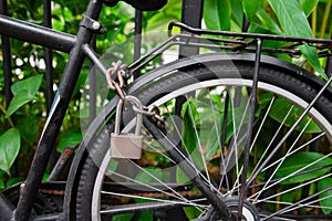 Security lock and chain blocking the bicycle wheel