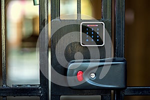 A security lock on an iron gate.