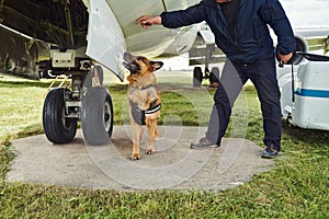 Security officer and detection dog inspecting aircraft at airfield