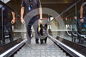 Security officer with detection dog using escalator at airport