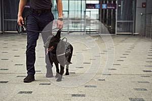 Security officer with police dog walking down airport terminal