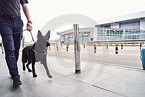 Security officer with police dog walking outdoors at airport