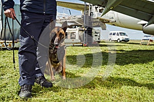 Security police dog on duty with officer at aerodrome