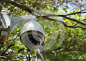 Security sphere camera watching the safety for everyone in natural green public park