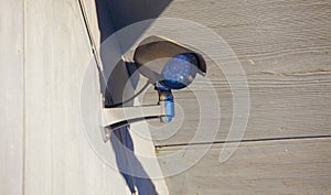 Security or video surveilance camera