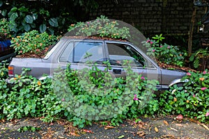 The sedan was in a bush and abandoned by its owner