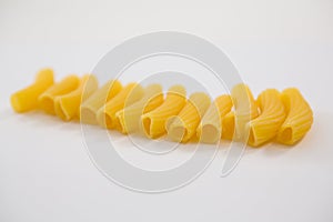 Sedani rigati pasta on white background