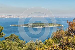 Sedef Island Mother of Pearl Island framed by green trees from Buyukada island. Both are neighbourhoods in the Adalar district photo