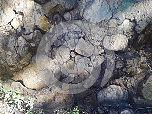 Sedimental conglomerate of quartz pebbles