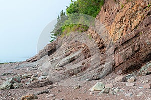 Sedimentary Fossil Cliff