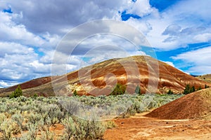 Sedimentary hill in the Painted Hills desert