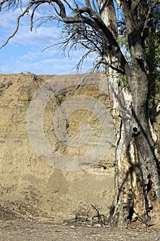 Sedimentary layers in Brachina Groge, SA, Australia photo