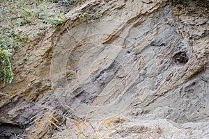 sedimentary layers of the rock in the sand scree. sand, pebbles and shells in sedimentary rocks