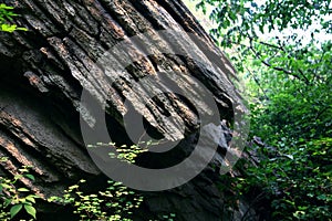 Sedimentary rock photo