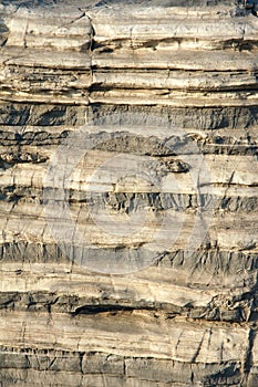 Sedimentary rock