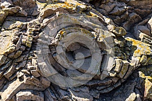 Sedimentary rock. Background.