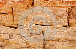 Sedimentary rock background