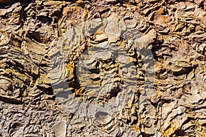 Sedimentary rock. Background.