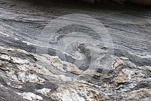 Sedimentary rock folded into syncline in alpine swiss mountains. photo