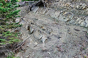 Sedimentary Rock Layers on Greek Mountain Side. Greece