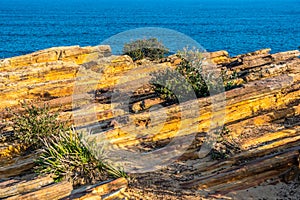 Sedimentary rocks near Coogee Beach, Sydney NSW Australia