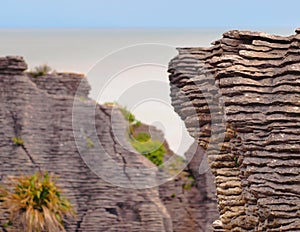 Sedimentary Rocks New Zealand photo