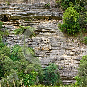 Sedimentary Rocks New Zealand