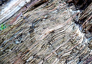 Sedimentary sandstone macro detail