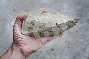 A sedimentary shale rock in the hand