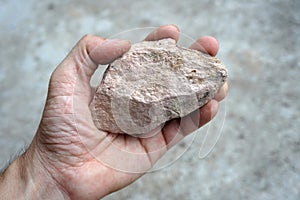 A sedimentary shale rock in the hand