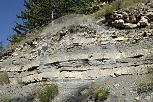 Sedimentary strata of limestone and marl in Alps