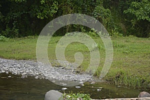 Sediments on the side of the river.