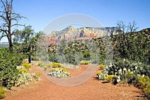 Sedona 5