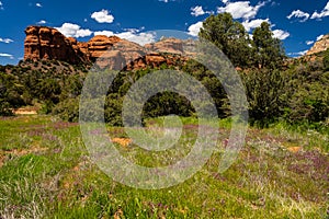 Sedona, Arizona Desert Landscape