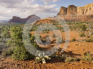 Sedona Arizona Hiking Trail Leads to Amazing Deser