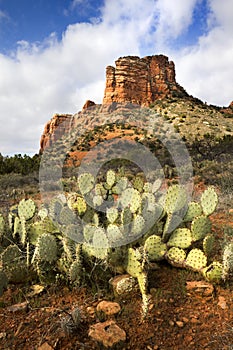 Sedona Arizona Hiking Trail Leads to Amazing Red R