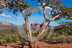 Sedona Arizona Scenic Landscape