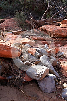 Sedona Arizona Slide rock state park