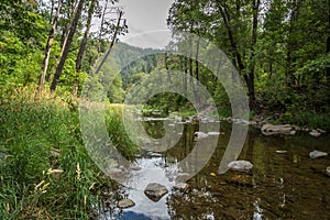 Sedona and Oak Creek Canyon Lanscapes