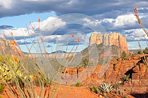 Sedona is a red rock city in Arizona, United States of America, red sandstone formations, travel USA, tourism, beautiful landscape